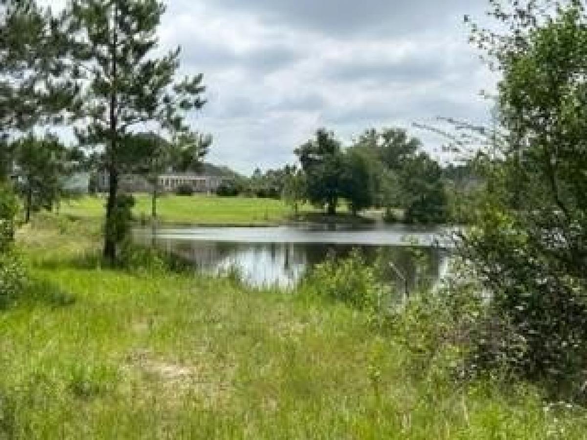 Picture of Residential Land For Sale in Moultrie, Georgia, United States