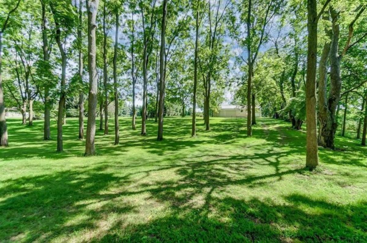 Picture of Residential Land For Sale in Orland, Indiana, United States