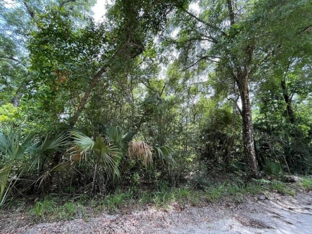 Picture of Residential Land For Sale in Chiefland, Florida, United States