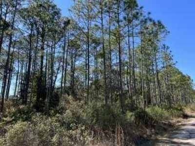 Residential Land For Sale in Santa Rosa Beach, Florida