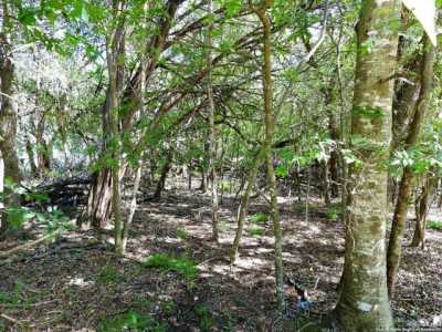 Residential Land For Sale in Lakehills, Texas