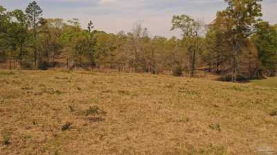 Residential Land For Sale in Jay, Florida