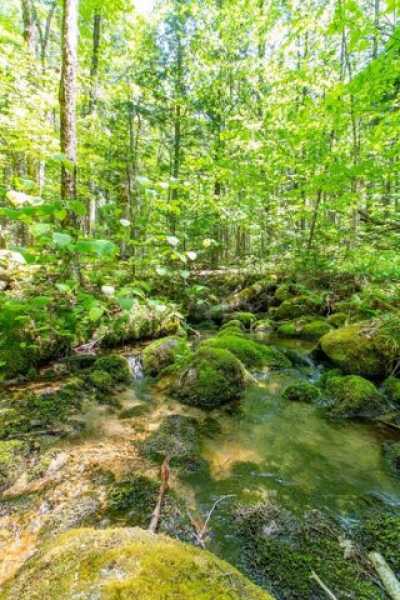 Residential Land For Sale in East Haven, Vermont