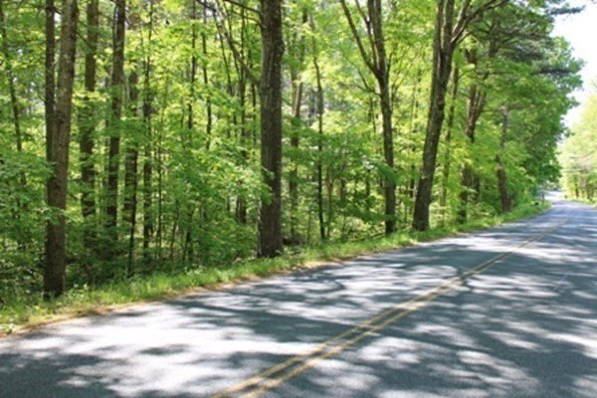 Picture of Residential Land For Sale in Shutesbury, Massachusetts, United States