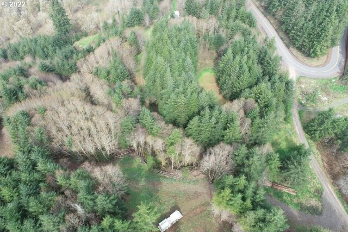 Picture of Residential Land For Sale in Kalama, Washington, United States