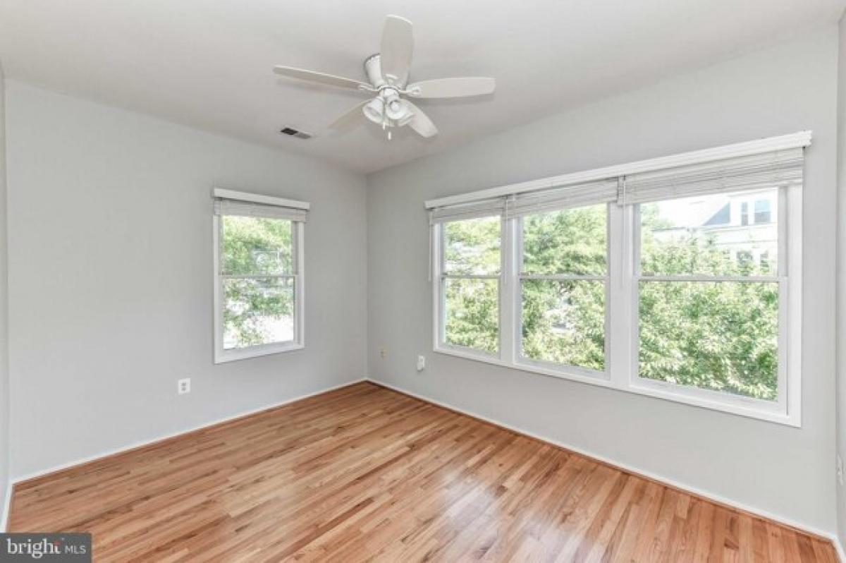 Picture of Home For Rent in Arlington, Virginia, United States