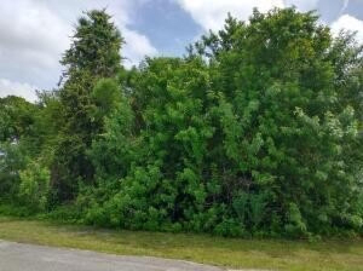 Picture of Residential Land For Sale in Fort Pierce, Florida, United States