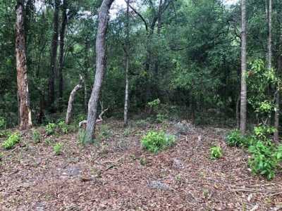 Residential Land For Sale in Old Town, Florida