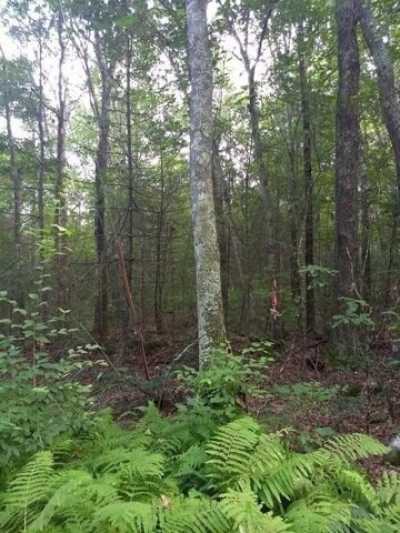 Residential Land For Sale in Hardwick, Massachusetts