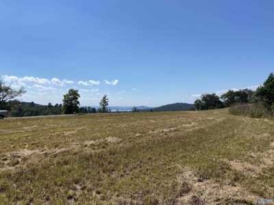 Residential Land For Sale in Cedar Bluff, Alabama