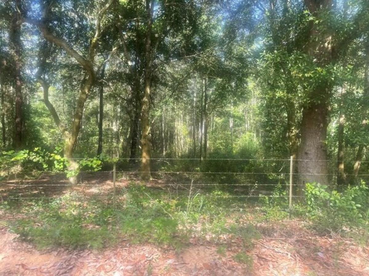 Picture of Residential Land For Sale in Ambrose, Georgia, United States