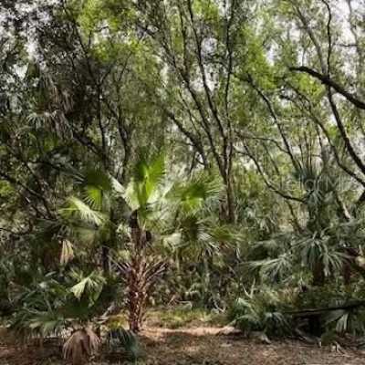 Residential Land For Sale in 