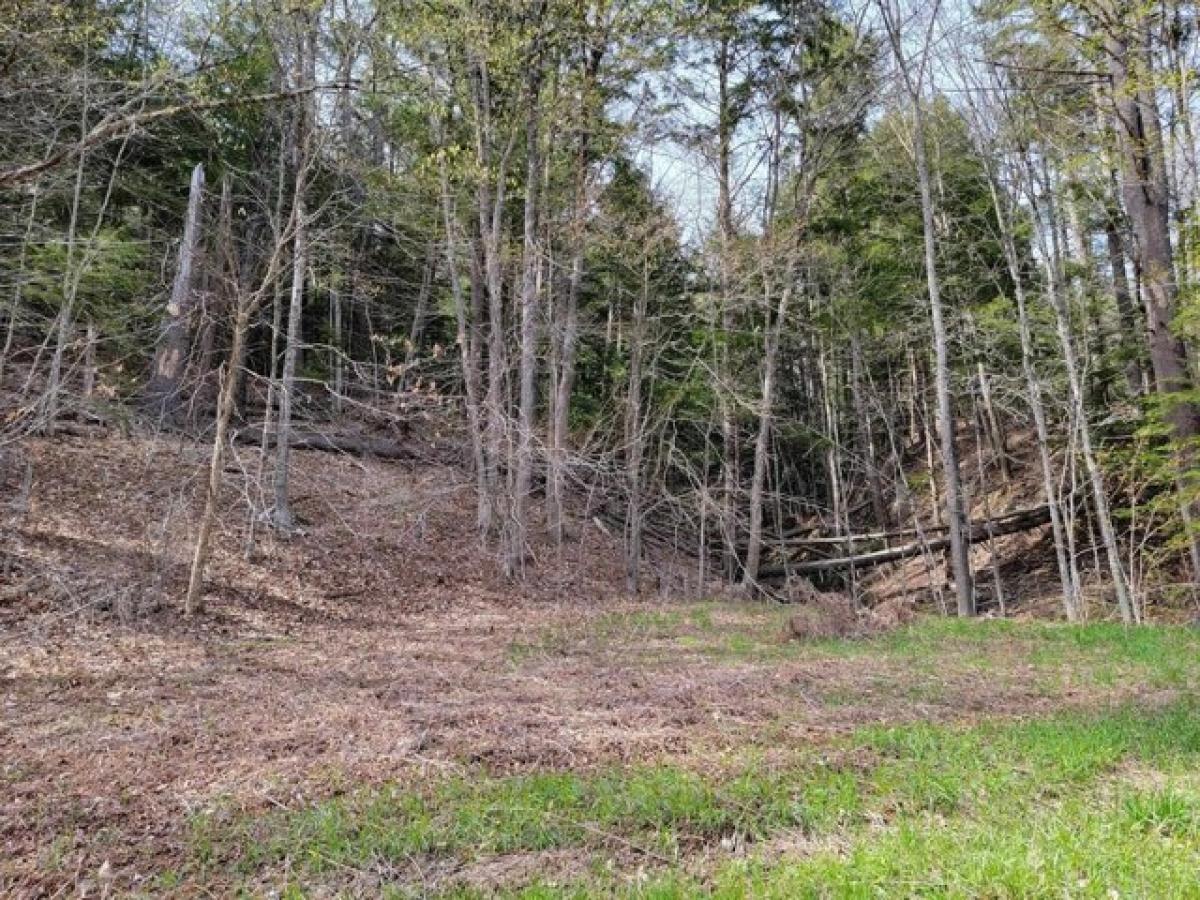 Picture of Residential Land For Sale in Acworth, New Hampshire, United States