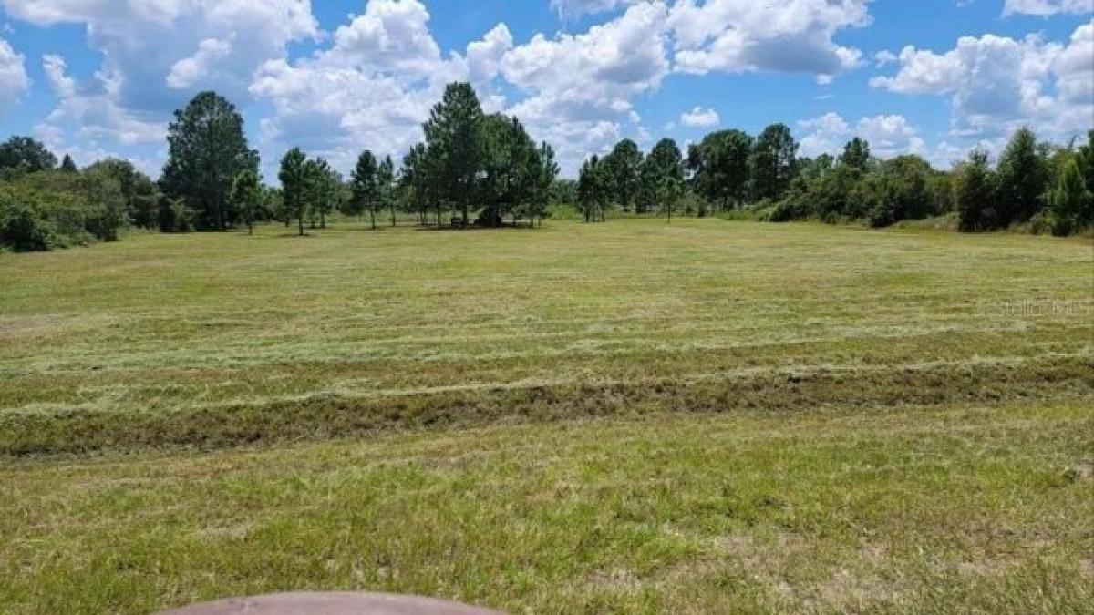 Picture of Residential Land For Sale in Lake Wales, Florida, United States