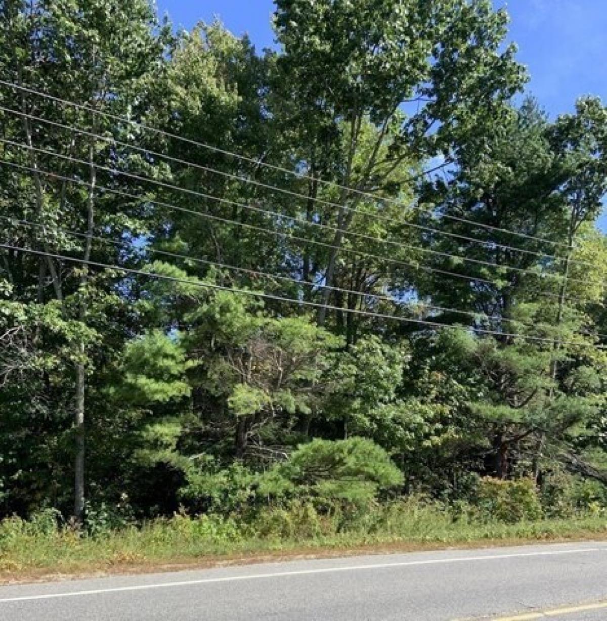 Picture of Residential Land For Sale in New Braintree, Massachusetts, United States