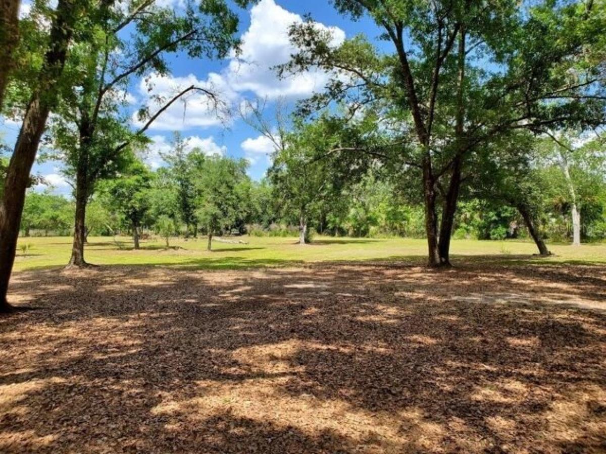 Picture of Residential Land For Sale in Lutz, Florida, United States