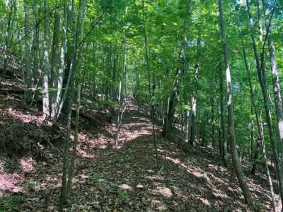 Residential Land For Sale in Collinsville, Virginia