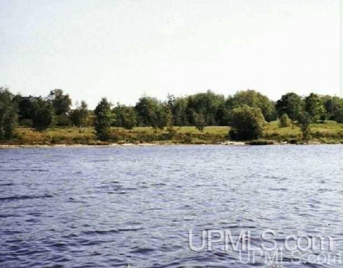 Picture of Residential Land For Sale in Lake Linden, Michigan, United States