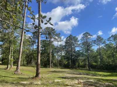 Residential Land For Sale in Defuniak Springs, Florida