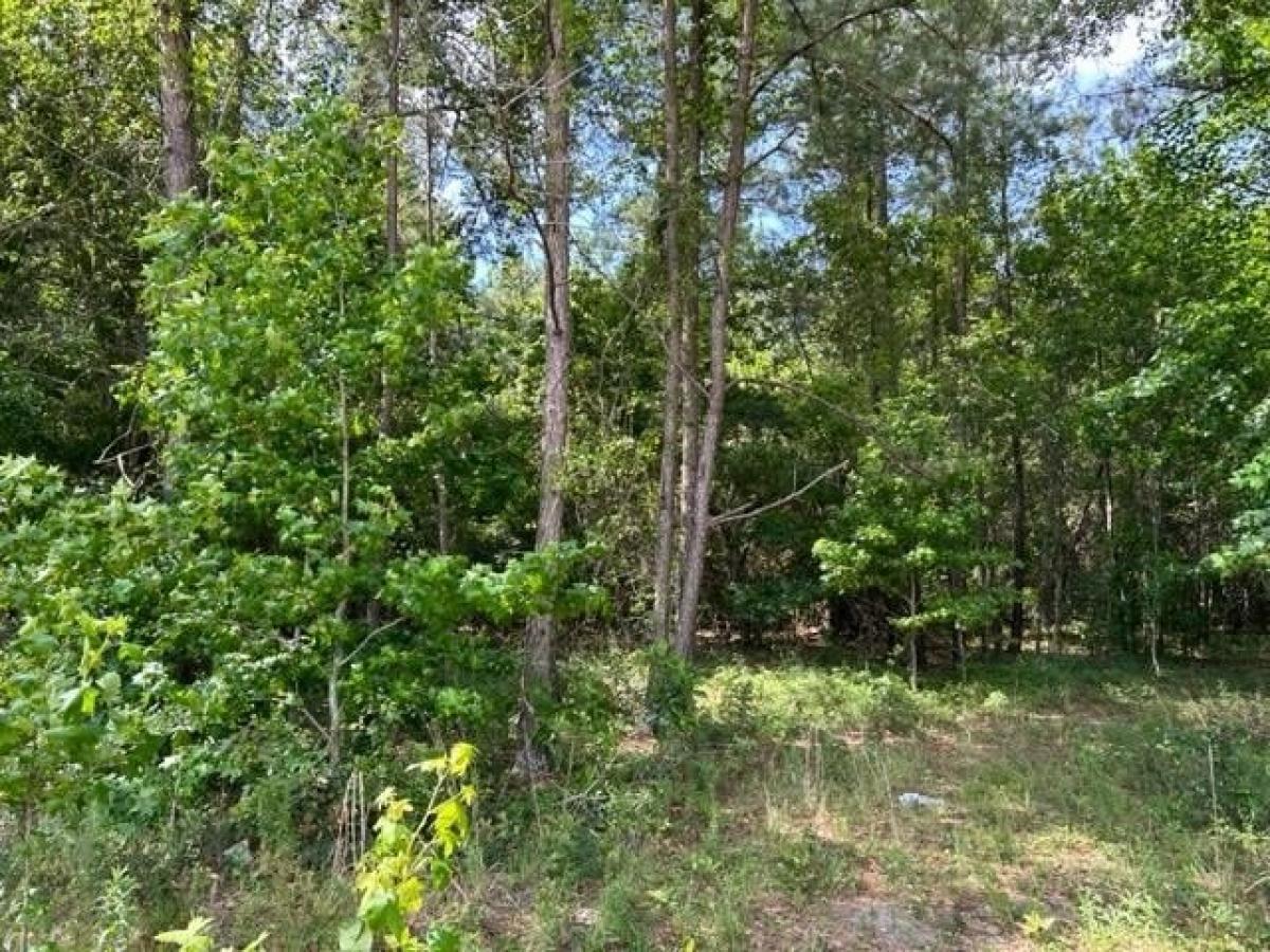 Picture of Residential Land For Sale in Reidsville, Georgia, United States