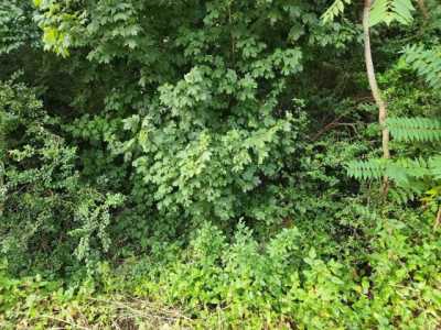 Residential Land For Sale in Bedford, Virginia
