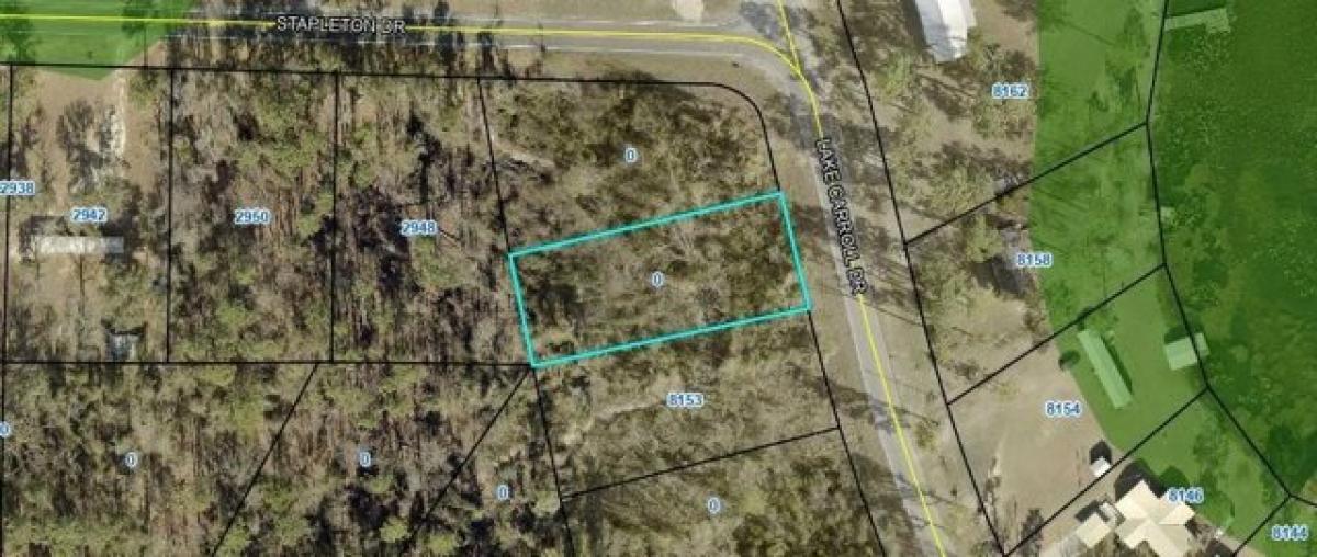 Picture of Residential Land For Sale in Donalsonville, Georgia, United States