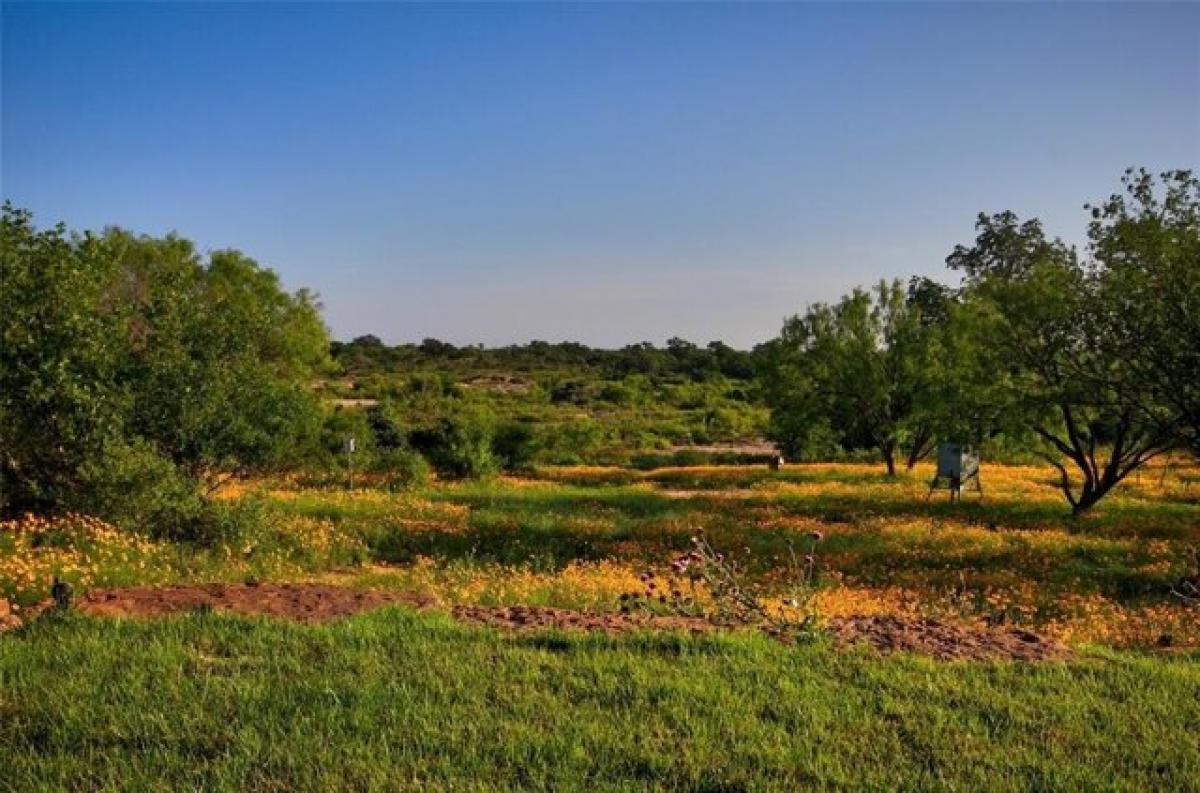 Picture of Home For Sale in Llano, Texas, United States