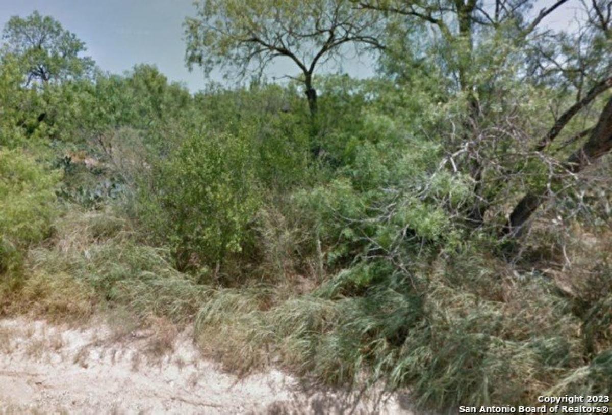 Picture of Residential Land For Sale in Christine, Texas, United States