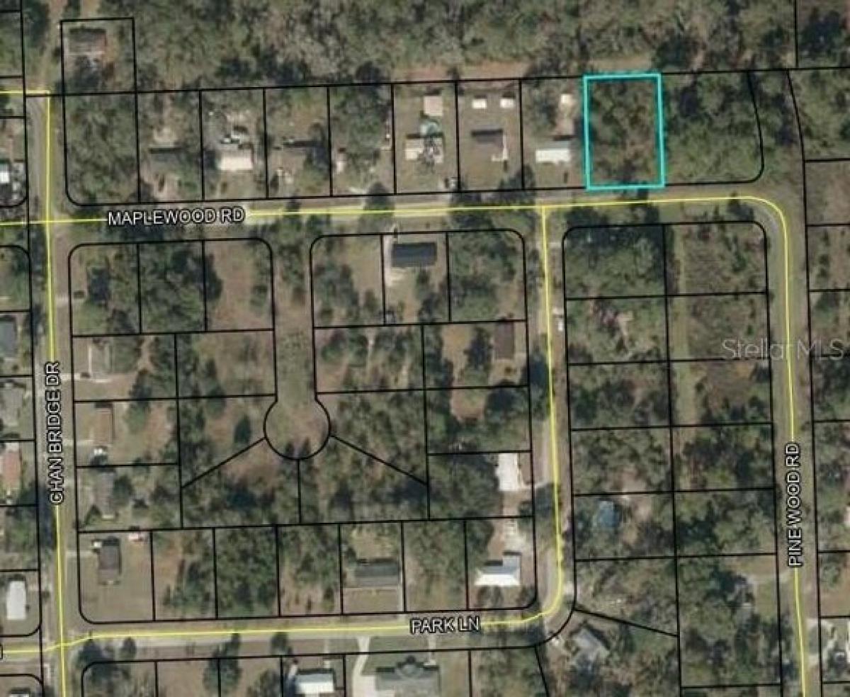 Picture of Residential Land For Sale in Jasper, Florida, United States