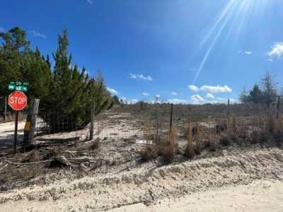 Residential Land For Sale in Bell, Florida