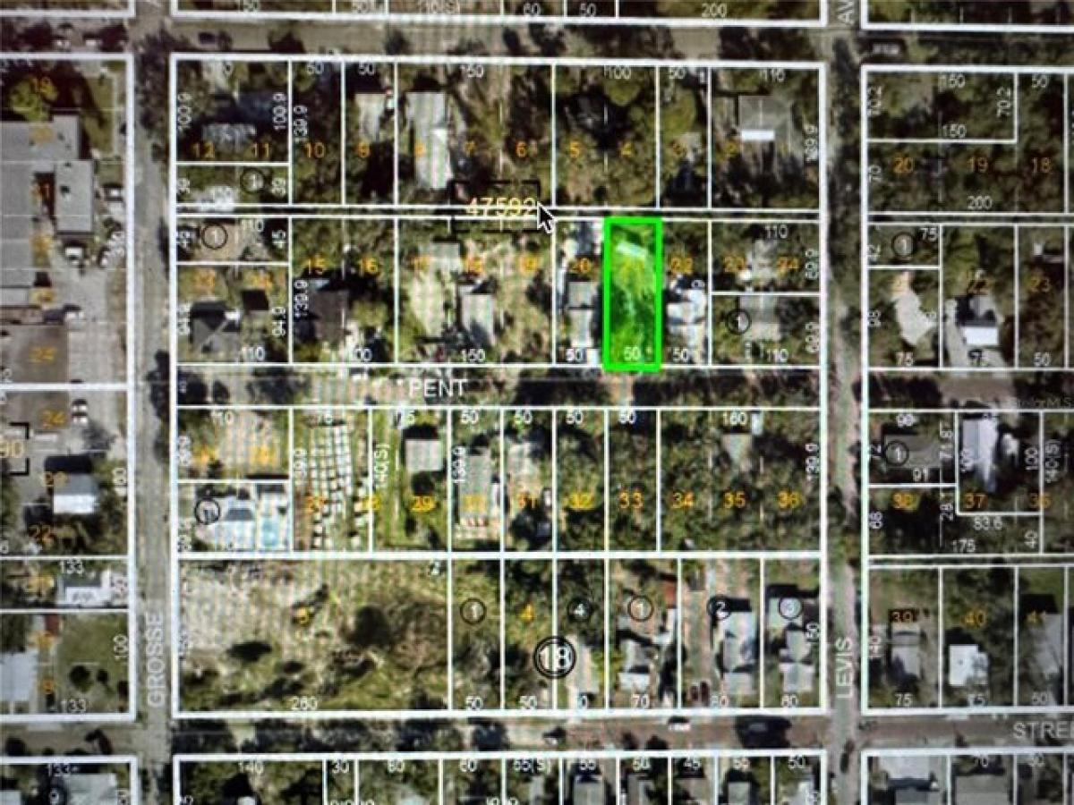 Picture of Residential Land For Sale in Tarpon Springs, Florida, United States