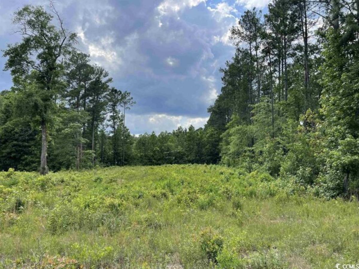 Picture of Residential Land For Sale in Andrews, South Carolina, United States