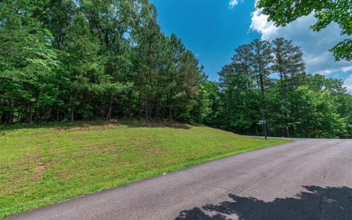 Picture of Residential Land For Sale in Talking Rock, Georgia, United States