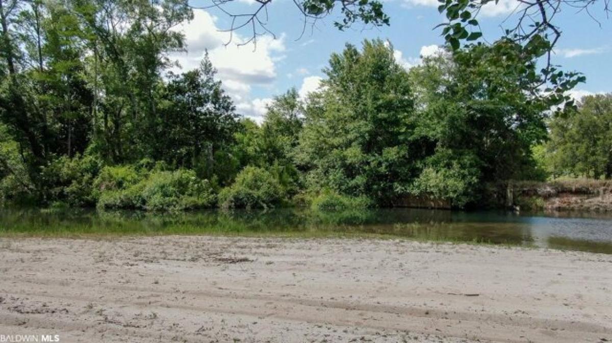 Picture of Residential Land For Sale in Magnolia Springs, Alabama, United States