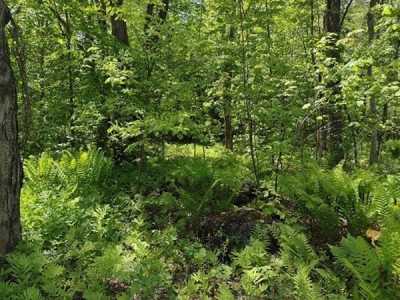 Residential Land For Sale in Becket, Massachusetts