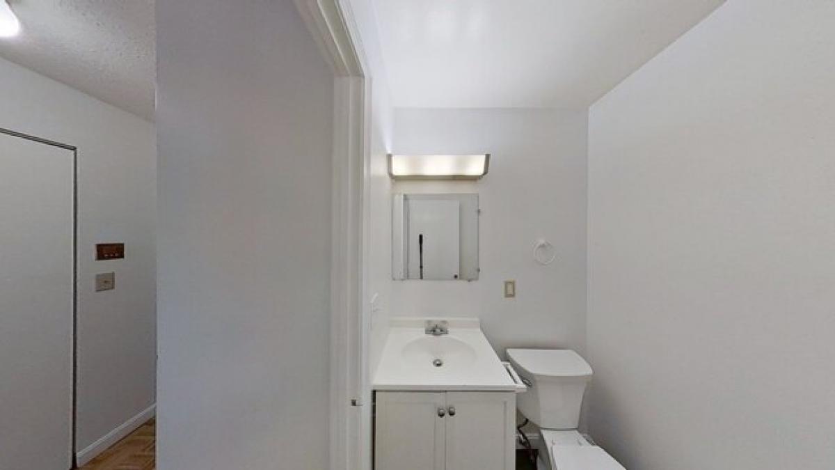 Picture of Apartment For Rent in Dorchester, Massachusetts, United States