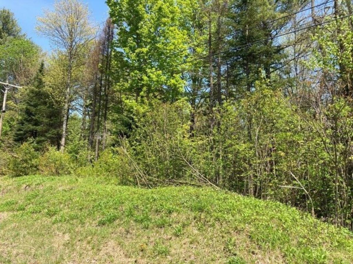 Picture of Residential Land For Sale in Grafton, New Hampshire, United States