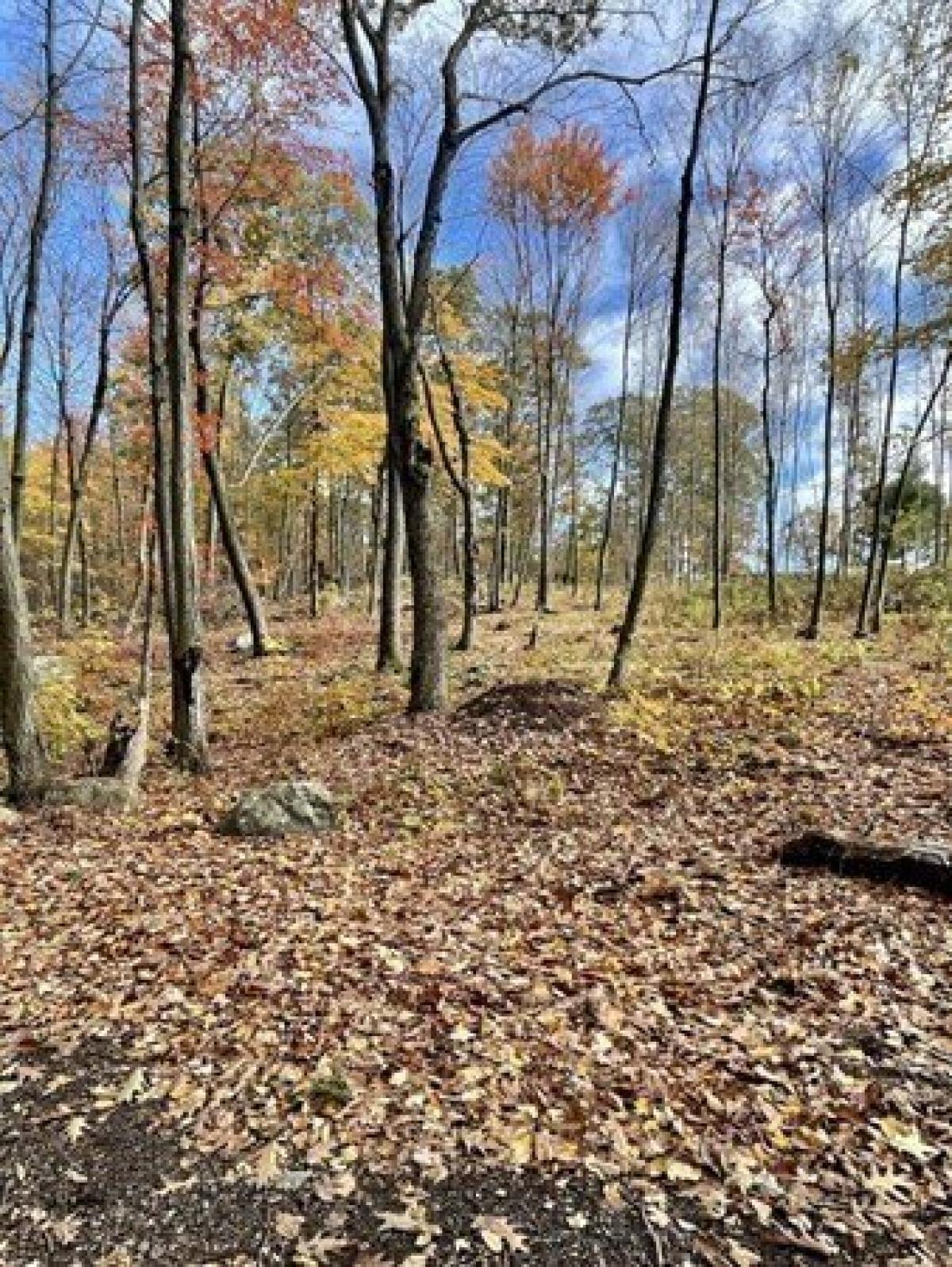 Picture of Residential Land For Sale in Wilbraham, Massachusetts, United States