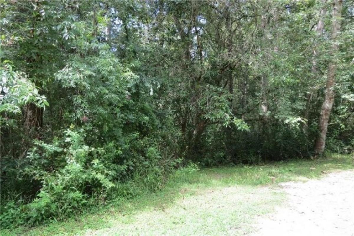 Picture of Residential Land For Sale in Abita Springs, Louisiana, United States