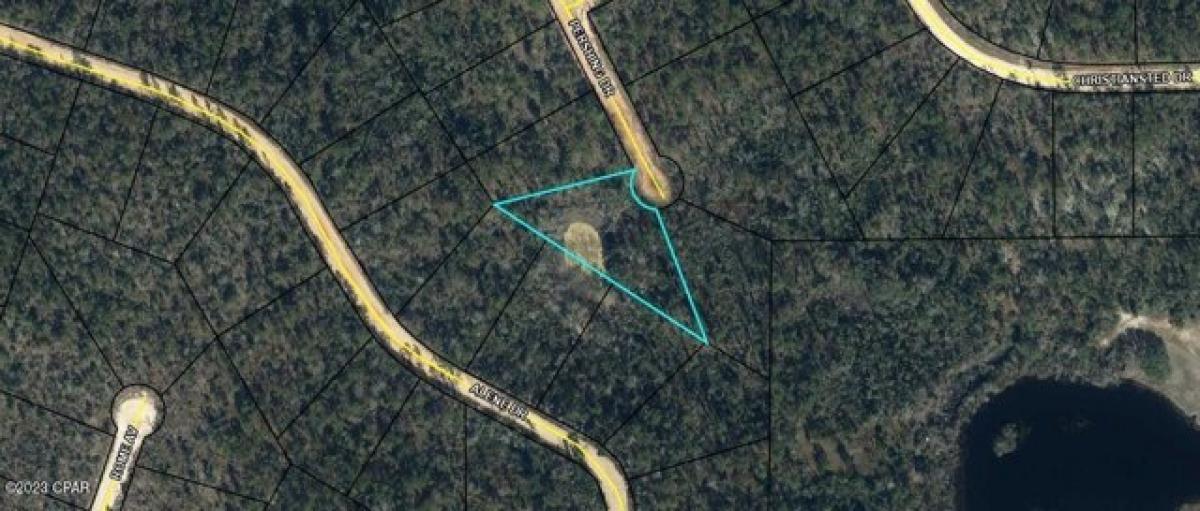 Picture of Residential Land For Sale in Alford, Florida, United States