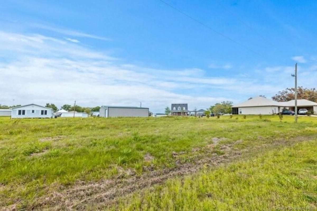 Picture of Residential Land For Sale in Gueydan, Louisiana, United States