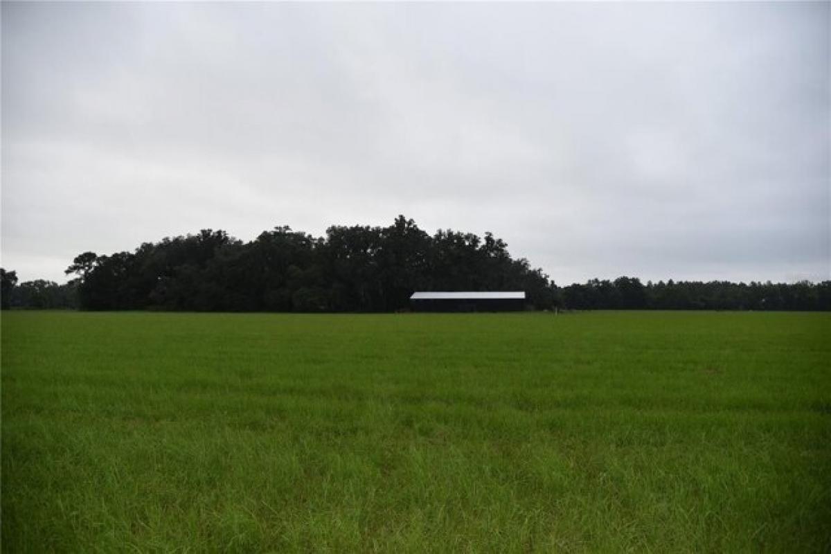 Picture of Residential Land For Sale in Alachua, Florida, United States