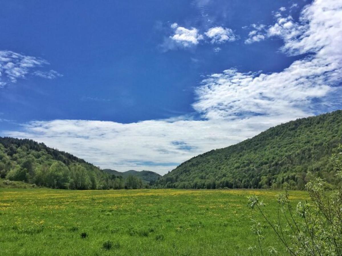 Picture of Residential Land For Sale in Rochester, Vermont, United States