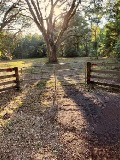 Residential Land For Sale in Old Town, Florida