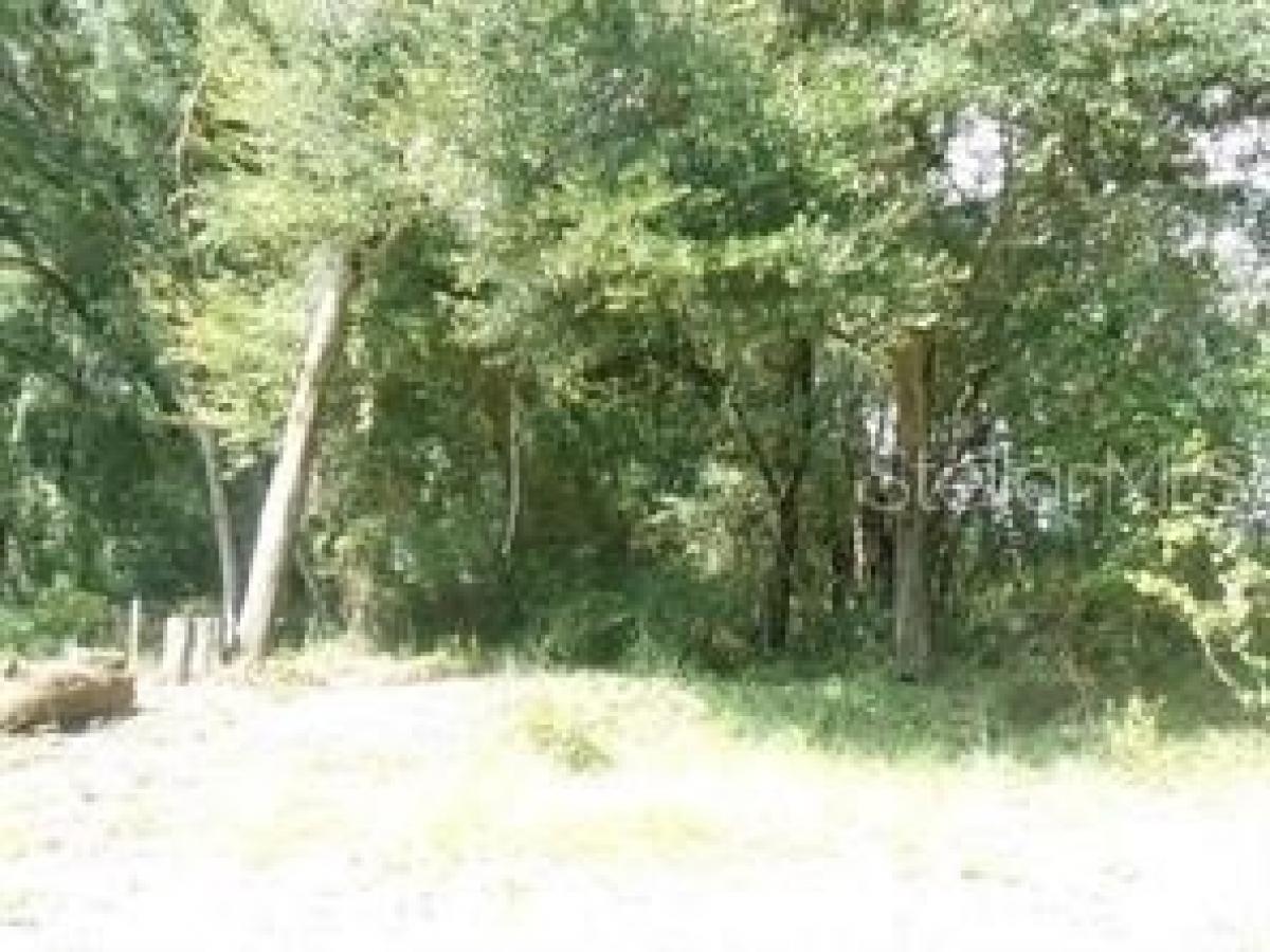 Picture of Residential Land For Sale in Summerfield, Florida, United States