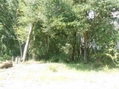 Residential Land For Sale in Summerfield, Florida