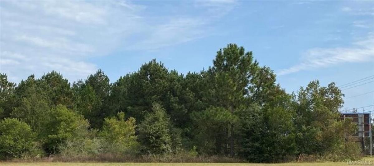 Picture of Residential Land For Sale in Enterprise, Alabama, United States