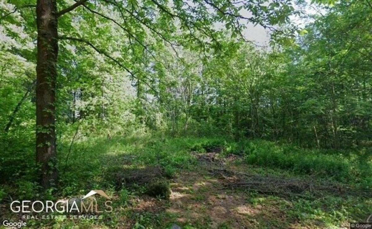 Picture of Residential Land For Sale in Hiram, Georgia, United States