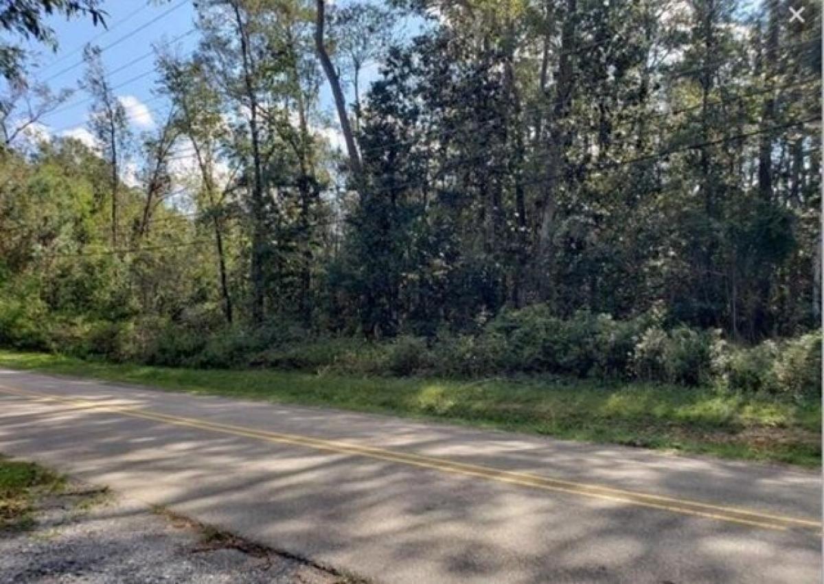 Picture of Residential Land For Sale in Covington, Louisiana, United States