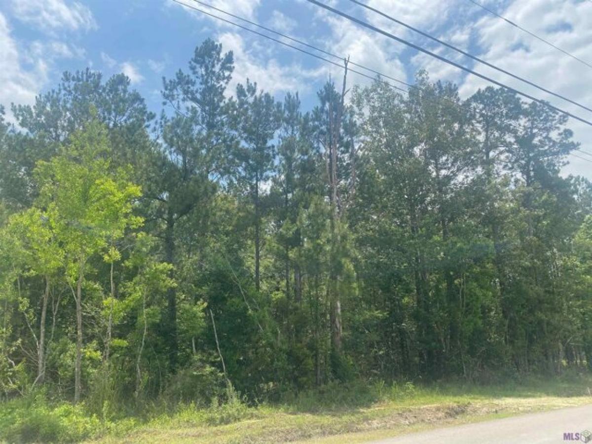 Picture of Residential Land For Sale in Livingston, Louisiana, United States